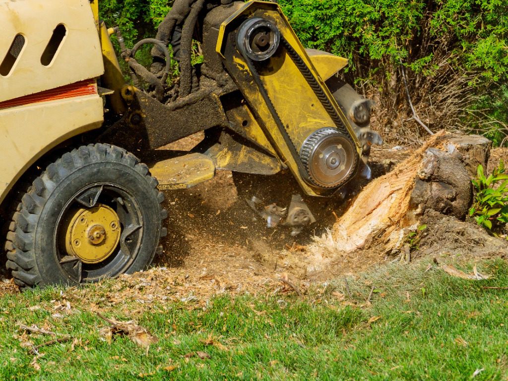 Stump Grinding Services Southington CT